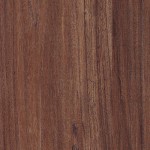 BW-92027 Elm Oak
